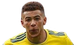 image-go6v7il5w3j3rxk