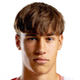 image-q69zrnlql1h7vee