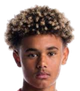 image-sybadnlqfeclwhq