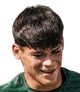 image-b1ta1llns4z1vff