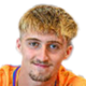 image-b1ta1llnep05vff