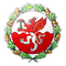 image-623z28lvgy9rt8p