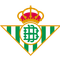 image-b1ta1ll1256rbib