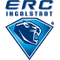 image-4m9ap3fq6k9s2ed