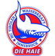 image-54cvb2fwmx0sl7t