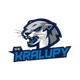 image-go6v77fd7x0rtnv