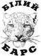 image-ykcv49f2v7ss1xj