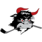 image-ykcv49f2vpgs1xj