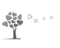 image-7au4xbhodk9r31c