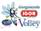 image-1z88sraoo5ortsd