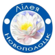 image-a8qv37lrw9a3v1c